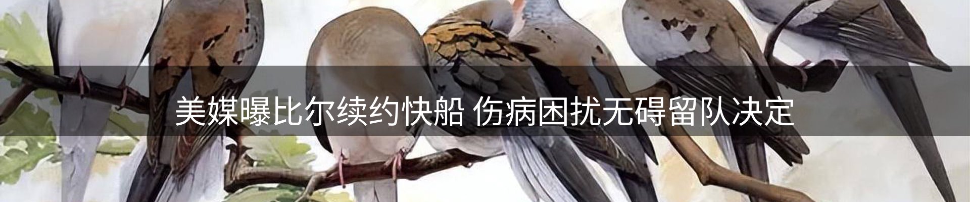 新闻中心